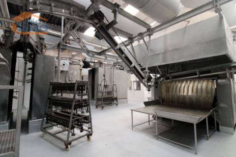 Matadouro Industrial no distrito de Coimbra equipado Pronto a laborar