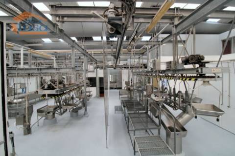 Matadouro Industrial no distrito de Coimbra equipado Pronto a laborar