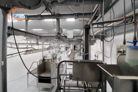 Matadouro Industrial no distrito de Coimbra equipado Pronto a laborar