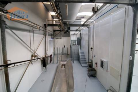 Matadouro Industrial no distrito de Coimbra equipado Pronto a laborar