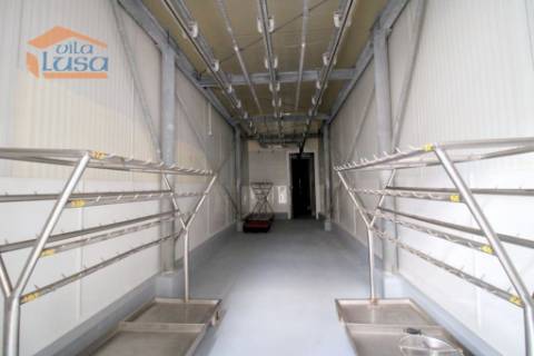 Matadouro Industrial no distrito de Coimbra equipado Pronto a laborar