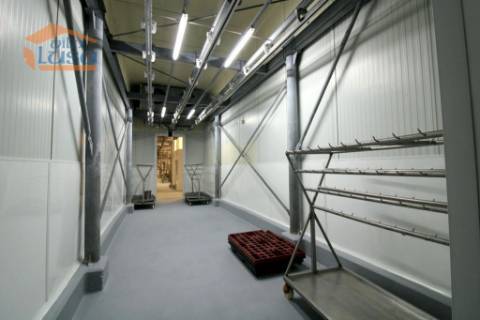 Matadouro Industrial no distrito de Coimbra equipado Pronto a laborar