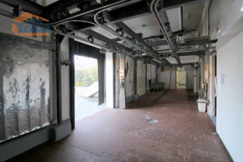 Matadouro Industrial no distrito de Coimbra equipado Pronto a laborar