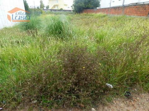 Oportunidade para Construir a Sua Casa dos Sonhos em Avintes, Vila Nova de Gaia 