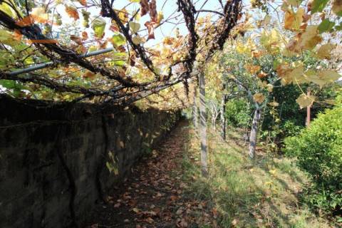  Terreno na zona de Canidelo disponível para construção de moradia de 3 frentes