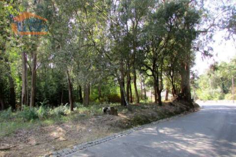 Terreno Grijo, para a contrução de Moradia de 4 frentes