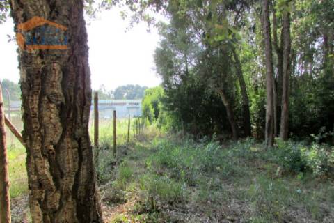 Terreno Grijo, para a contrução de Moradia de 4 frentes