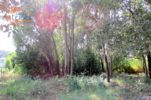 Terreno Grijo, para a contrução de Moradia de 4 frentes