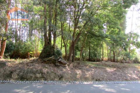 Terreno Grijo, para a contrução de Moradia de 4 frentes