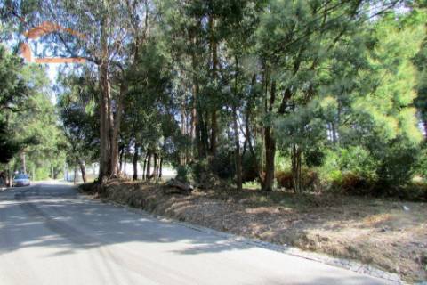 Terreno Grijo, para a contrução de Moradia de 4 frentes