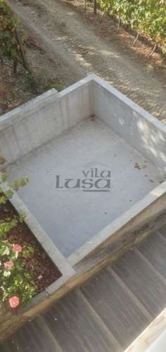 Moradia e Vinha com adega para venda