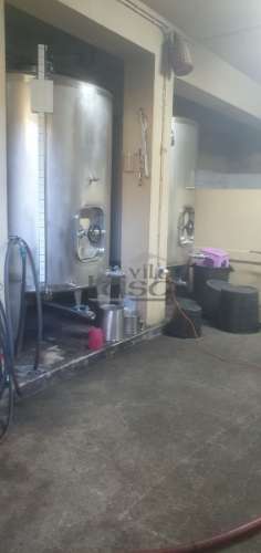 Moradia e Vinha com adega para venda