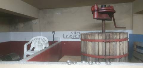 Moradia e Vinha com adega para venda