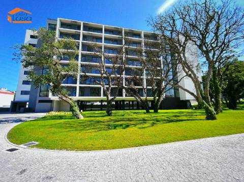 T0 ao Polo Universitário e Hospital de São João, Porto