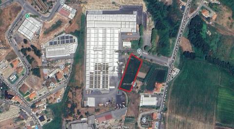 Terreno com 2500m2 em Beire Paredes.