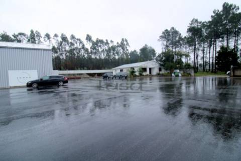 Armazém Rio Meão 1.700 m2 de área coberta + Logradouro e PT próprio 