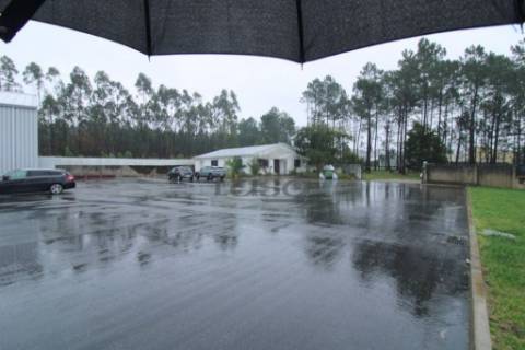 Armazém Rio Meão 1.700 m2 de área coberta + Logradouro e PT próprio 