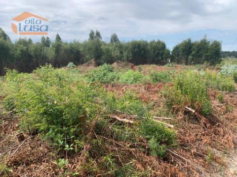 Terreno com 8300m2 com projeto aprovado para moradia térrea de 4 frentes em Castelo da Maia.