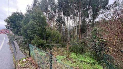 Terreno Rústico em Canedo com 1300m2.