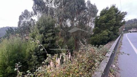 Terreno Rústico em Canedo com 1300m2.