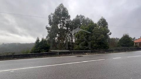 Terreno Rústico em Canedo com 1300m2.