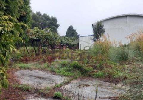 Armazém Santa Maria de Lamas