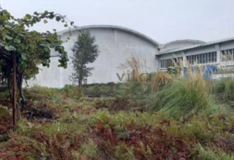 Armazém Santa Maria de Lamas