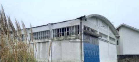 Armazém Santa Maria de Lamas