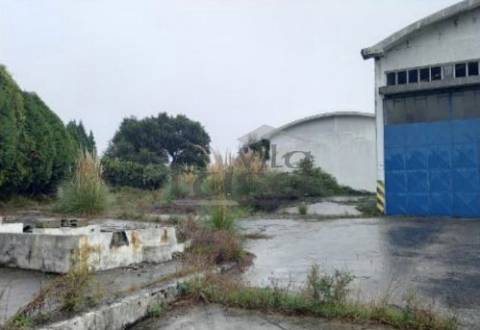 Armazém Santa Maria de Lamas