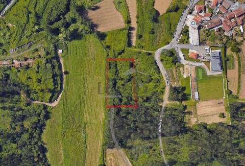 Terreno Agrícola com 4.800 m² | Olival