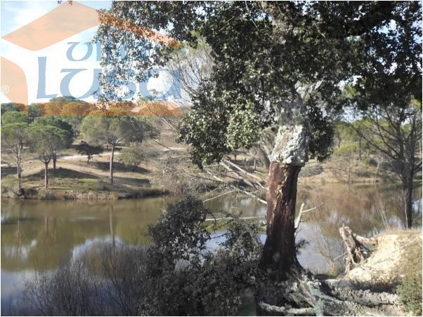 Herdade no Alentejo "Estalagem 4 estrelas com 38 quartos"