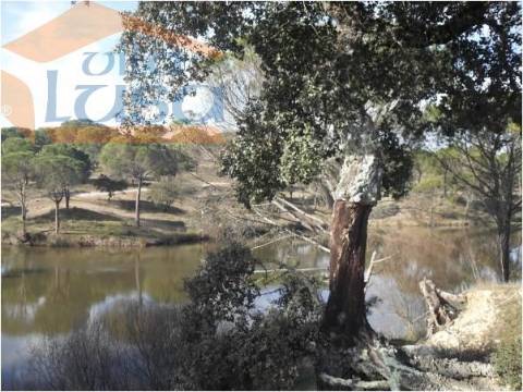 Herdade no Alentejo "Estalagem 4 estrelas com 38 quartos"