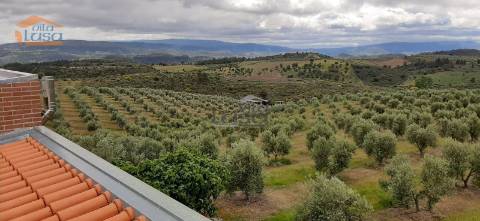 Quinta Mirandela com 12 hectares próxima do Rio Tua