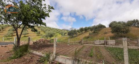 Quinta Mirandela com 12 hectares próxima do Rio Tua