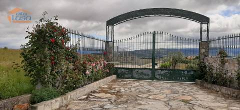 Quinta Mirandela com 12 hectares próxima do Rio Tua