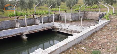 Quinta Mirandela com 12 hectares próxima do Rio Tua
