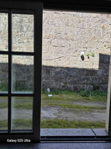 T0 em Caldas da Felgueira