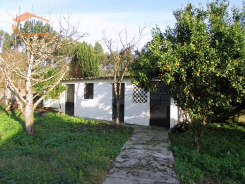 Moradia T2+1 com Garagem, Espigueiro e Anexos para Habitação  Privacidade e Conforto no Campo