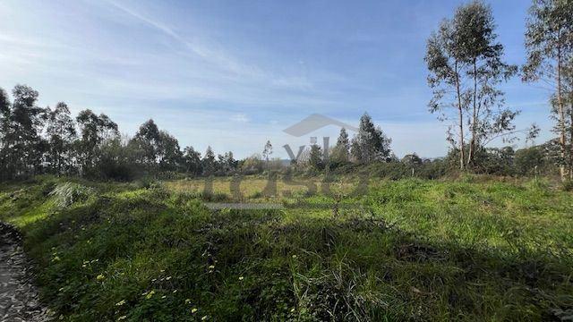 Terreno rústico com 24450m2 em Olival, Vila Nova de Gaia.