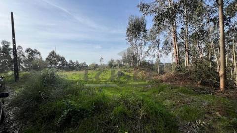 Terreno rústico com 24450m2 em Olival, Vila Nova de Gaia.