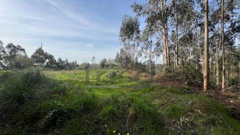 Terreno rústico com 24450m2 em Olival, Vila Nova de Gaia.