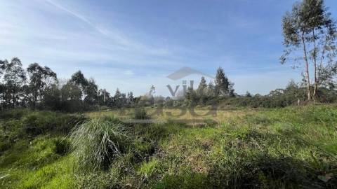 Terreno rústico com 24450m2 em Olival, Vila Nova de Gaia.