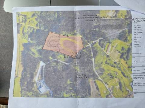 Terreno rústico com 24450m2 em Olival, Vila Nova de Gaia.