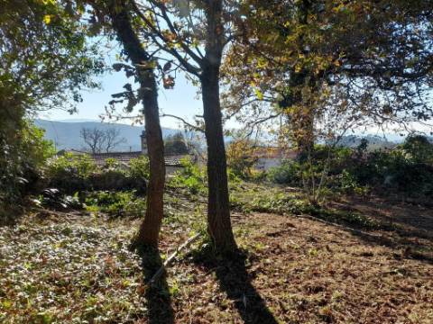Terreno T0 Venda em Sopo,Vila Nova de Cerveira