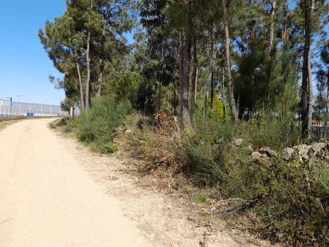 Terreno  Venda em Cornes,Vila Nova de Cerveira