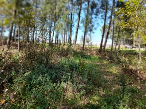 Terreno  Venda em Cornes,Vila Nova de Cerveira