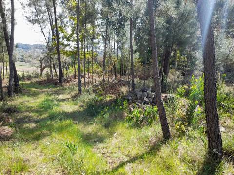 Terreno  Venda em Cornes,Vila Nova de Cerveira