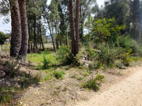 Terreno  Venda em Cornes,Vila Nova de Cerveira