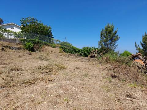 Terreno Para construção - Seixas
