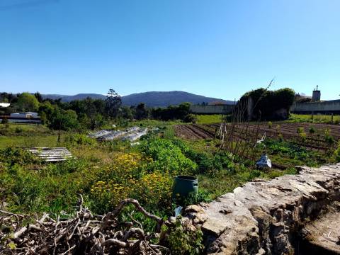 Terreno em Seixas